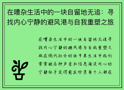 在嘈杂生活中的一块自留地无追：寻找内心宁静的避风港与自我重塑之旅